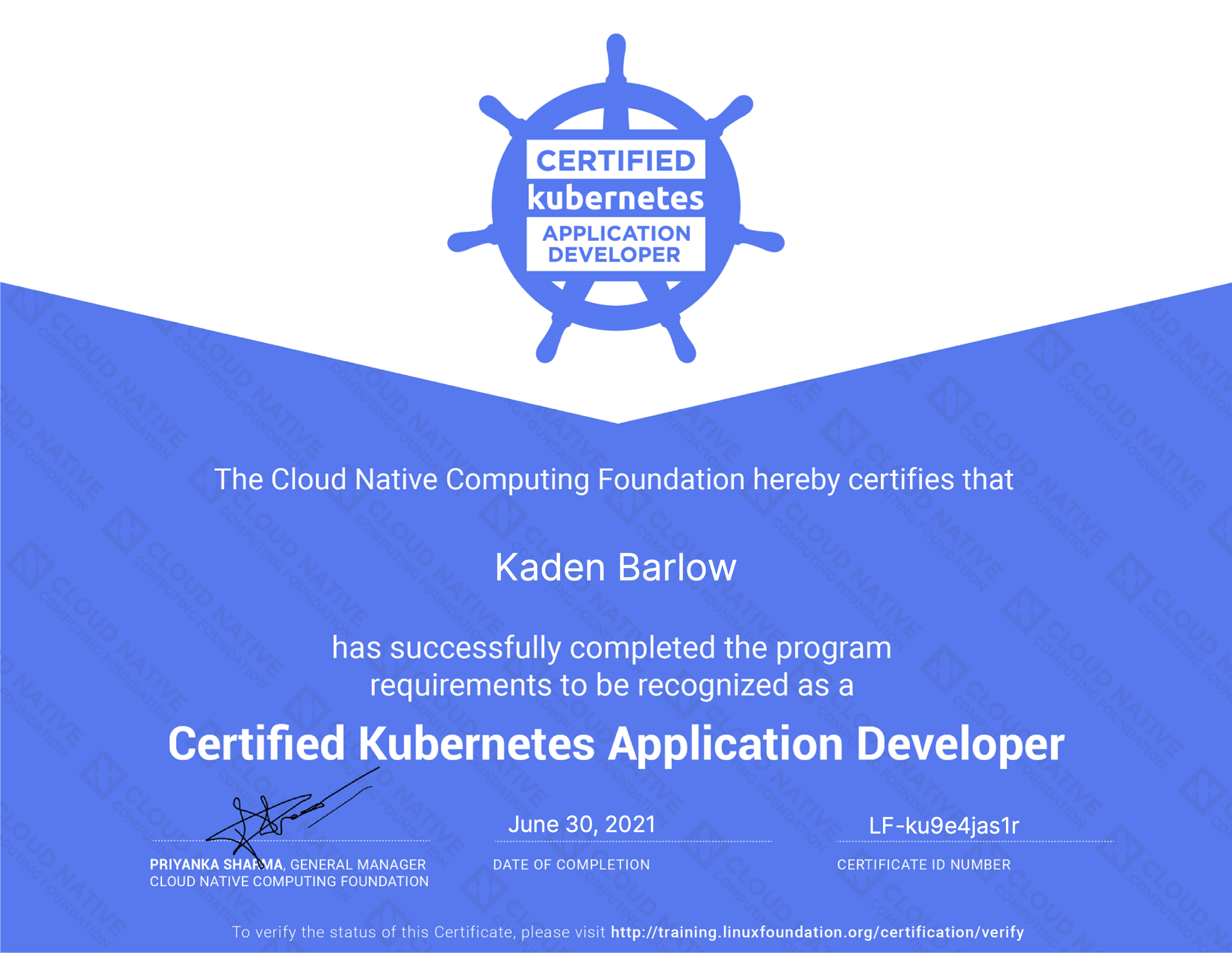 Certified Kubernetes Application Developer Certification